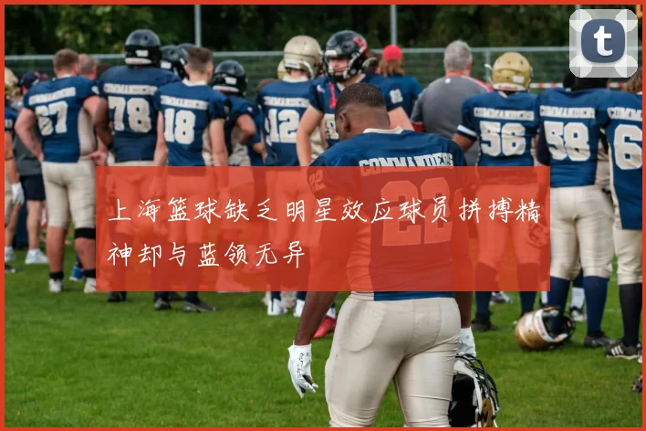 上海篮球缺乏明星效应球员拼搏精神却与蓝领无异