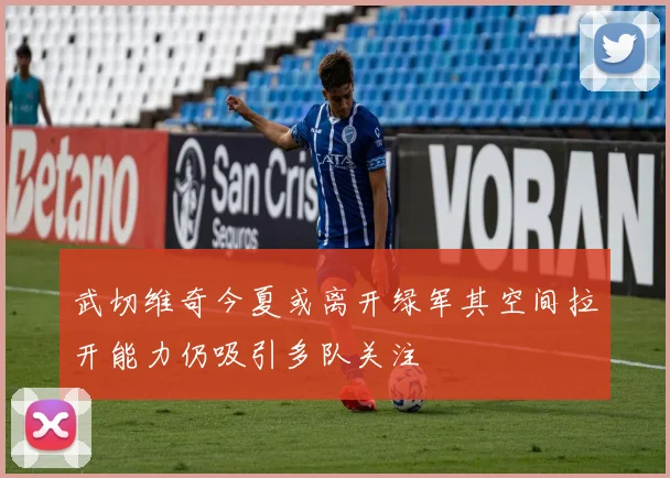 武切维奇今夏或离开绿军其空间拉开能力仍吸引多队关注